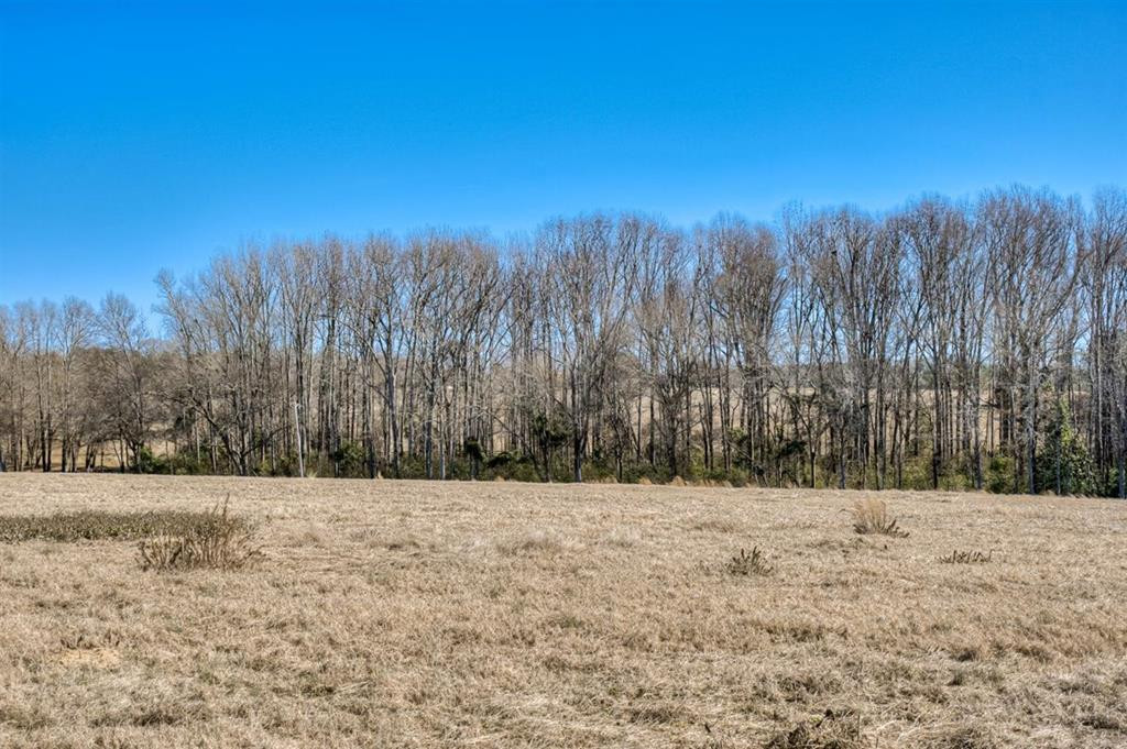 Lot 5 Wire Road Aiken, SC 29801 - Photo 1 of 10