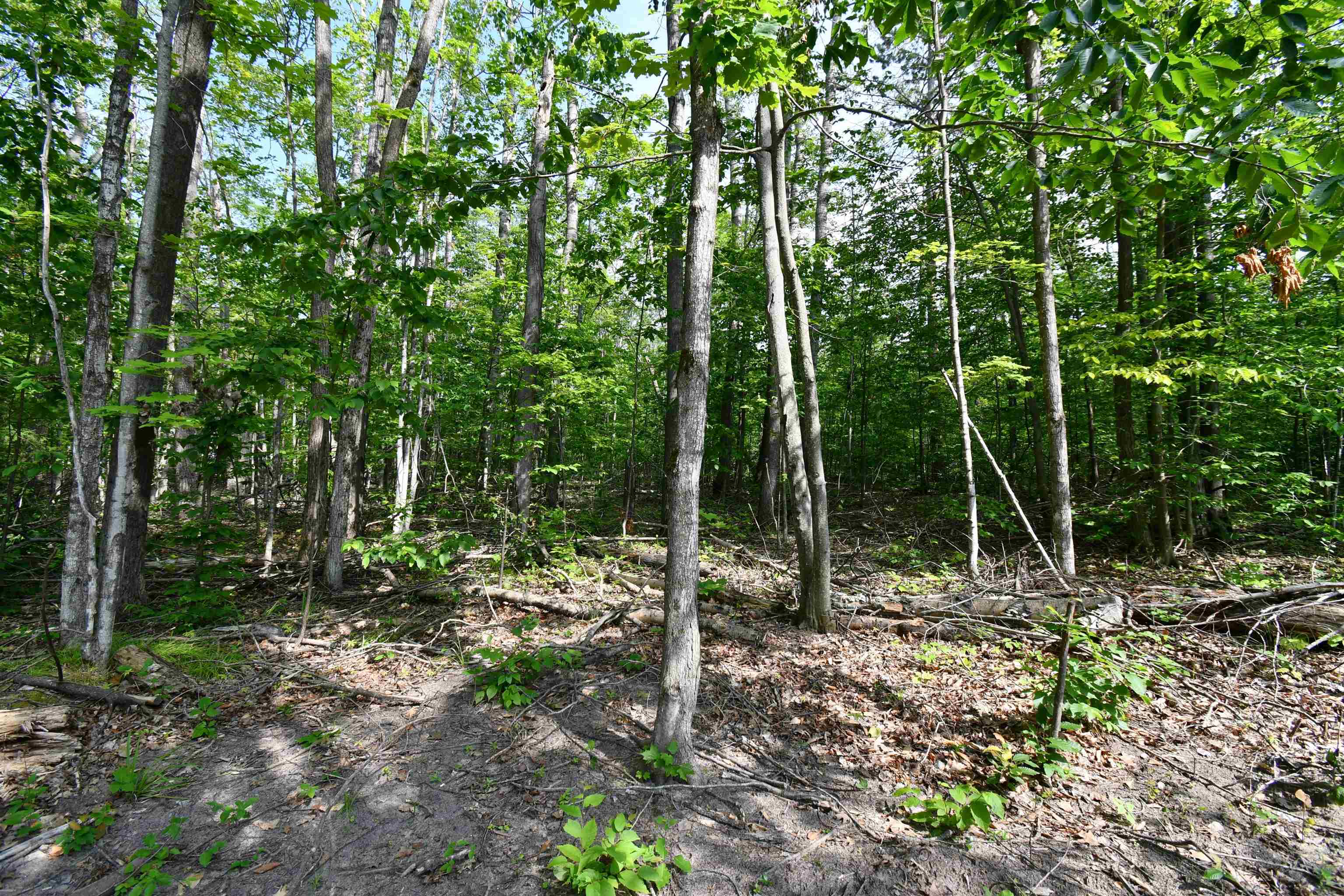 5278 Reynolds Road Cheboygan, MI 49721 - Photo 44 of 58