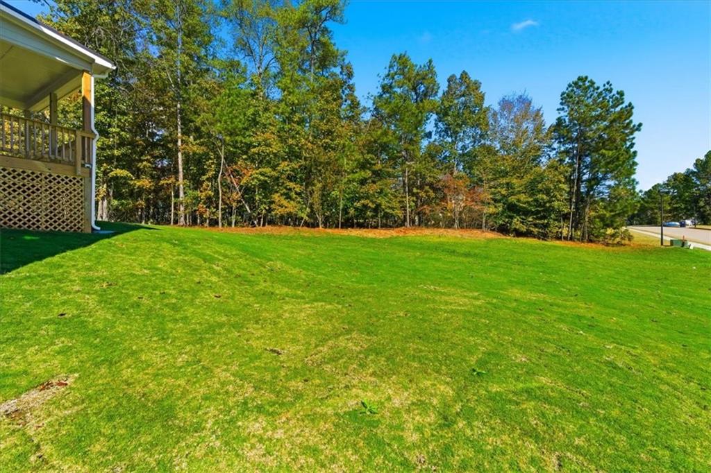 7782 Capps Ridge Lane Douglasville, GA 30135 - Photo 51 of 56