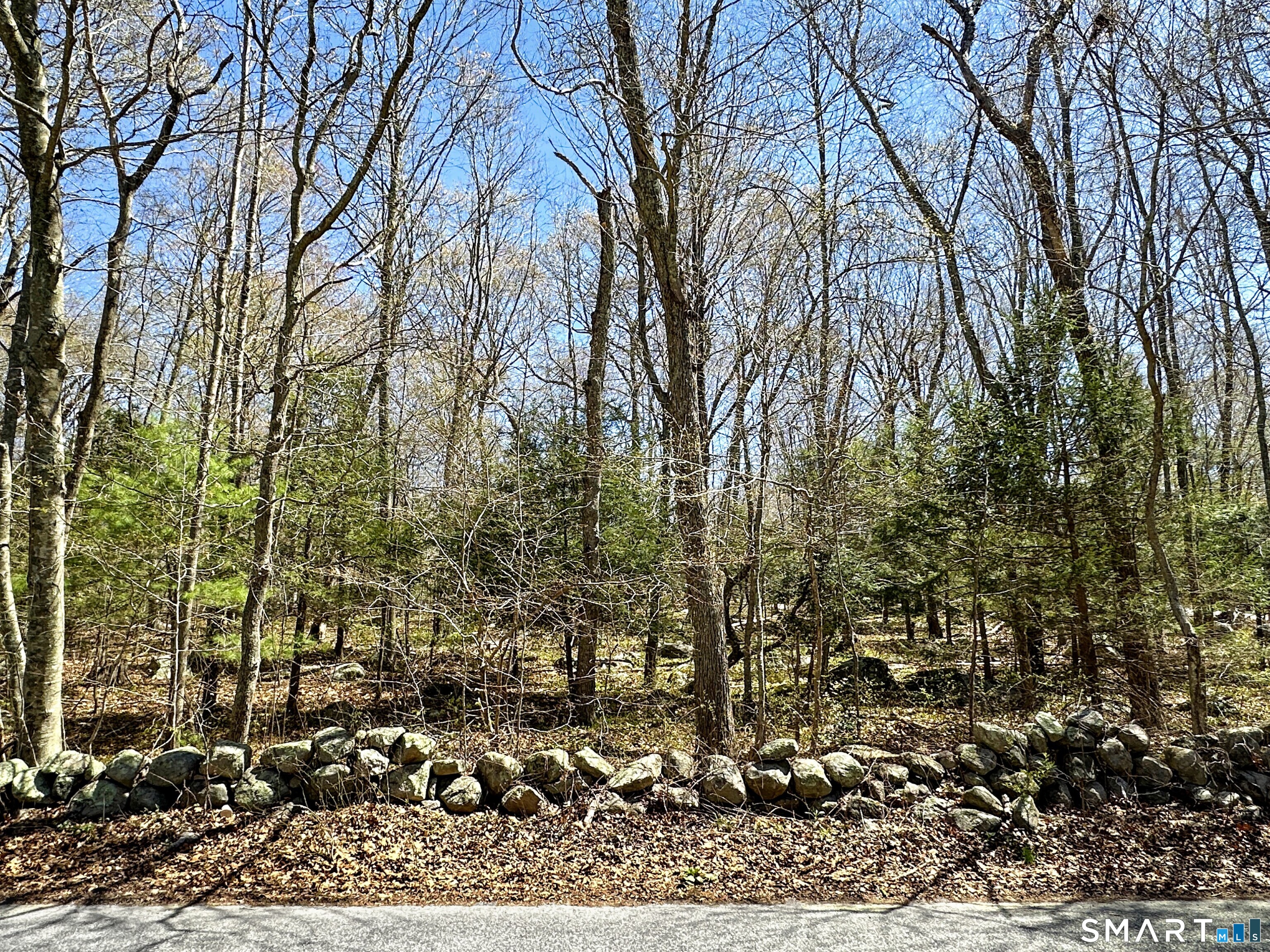 119 Quaker Farm Road Groton, CT 06355 - Photo 3 of 7 Lot Frontage Center View