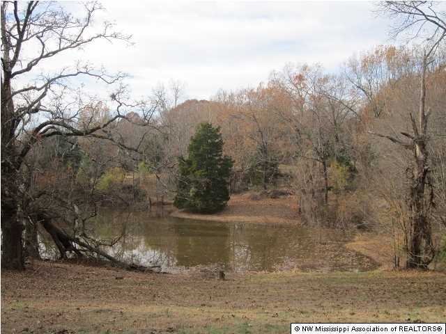 2312 Fogg Road North Nesbit, MS 38651 - Photo 1 of 16 Primary Photo