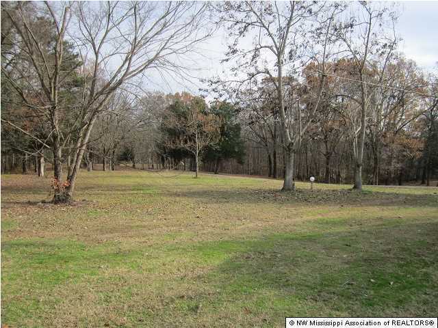 2312 Fogg Road North Nesbit, MS 38651 - Photo 2 of 16 Additional Photo