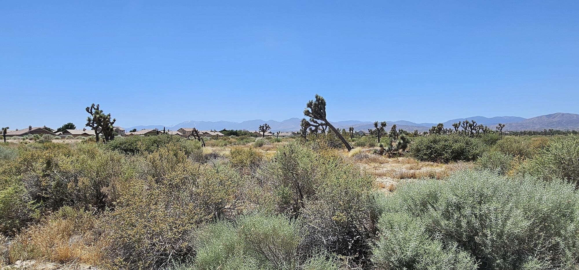 57th Street Palmdale, CA 93552 - Photo 11 of 12 a view of a sunset