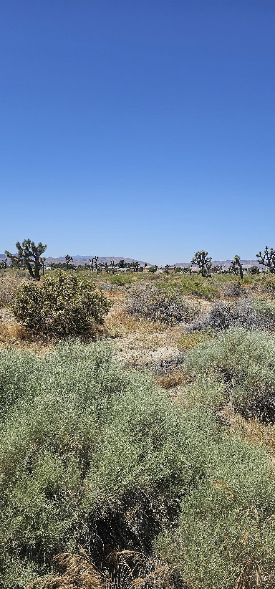 57th Street Palmdale, CA 93552 - Photo 4 of 12 a view of lake and mountain