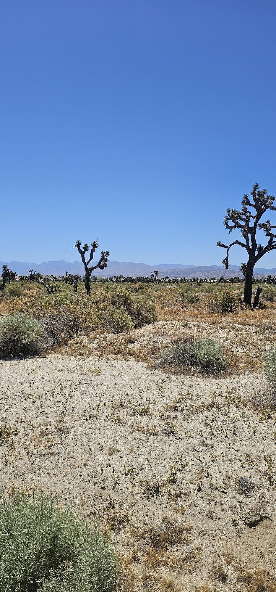 57th Street Palmdale, CA 93552 - Photo 6 of 12 a view of ocean view with beach