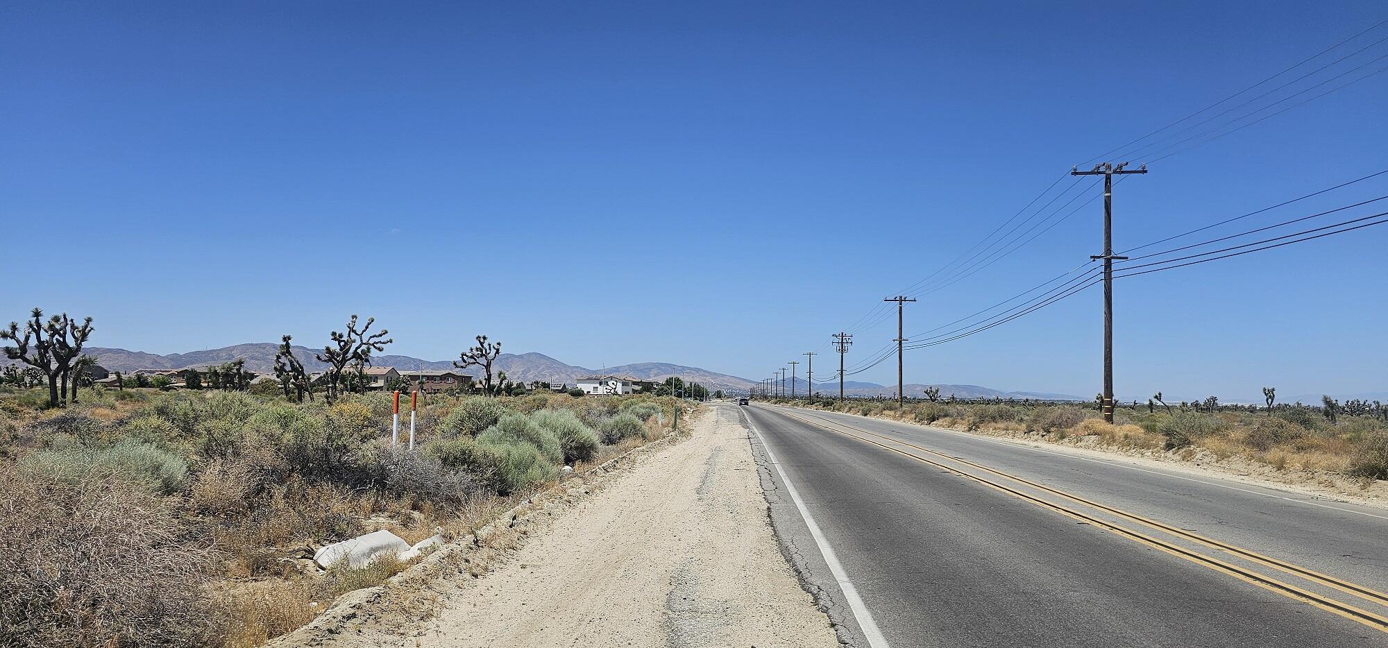 57th Street Palmdale, CA 93552 - Photo 7 of 12 a view of a dry yard with a tree
