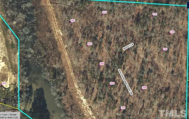 a picture of street light