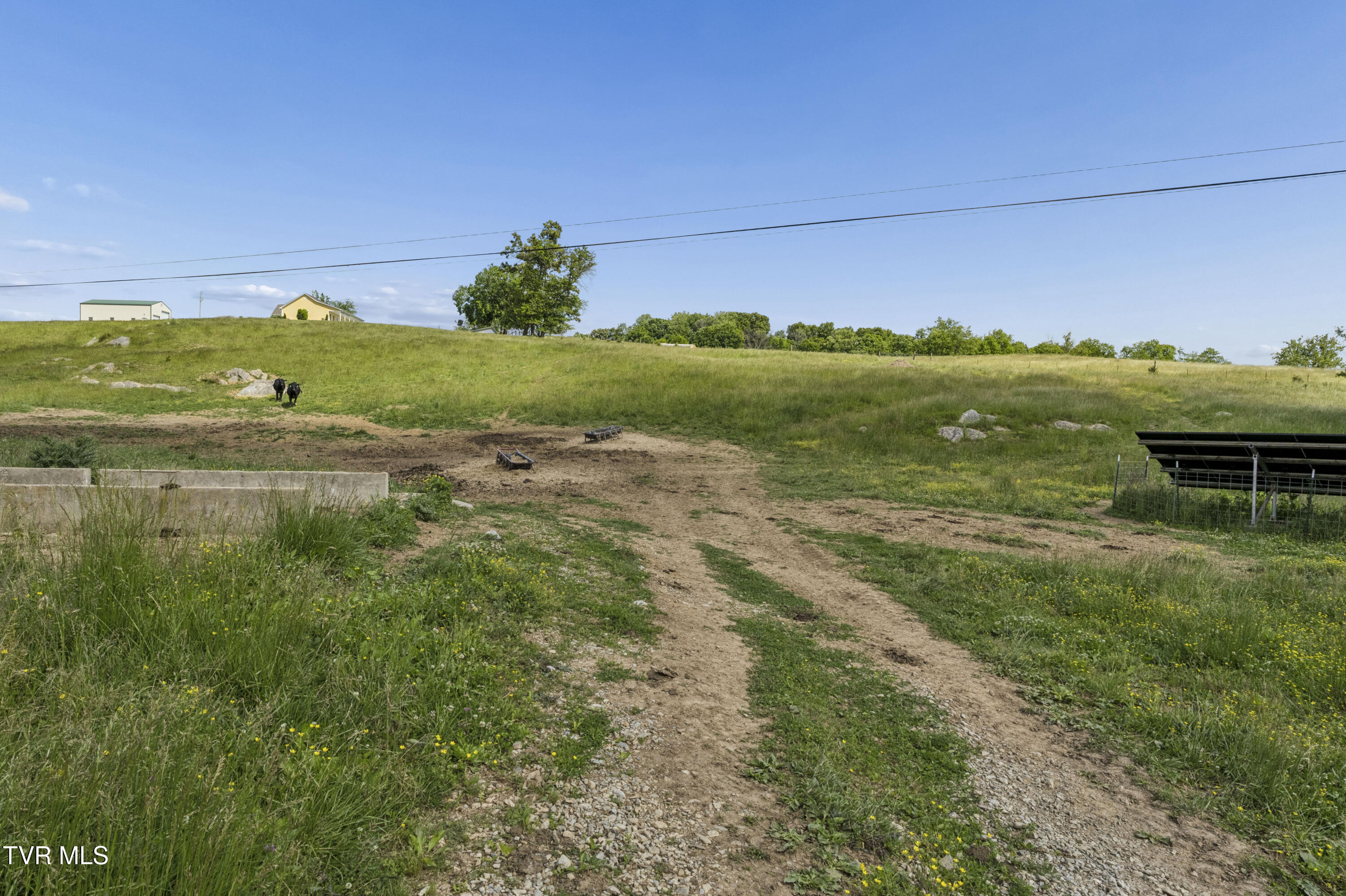 3200 Milburnton Road Limestone, TN 37681 - Photo 13 of 41 Mlburton-4359