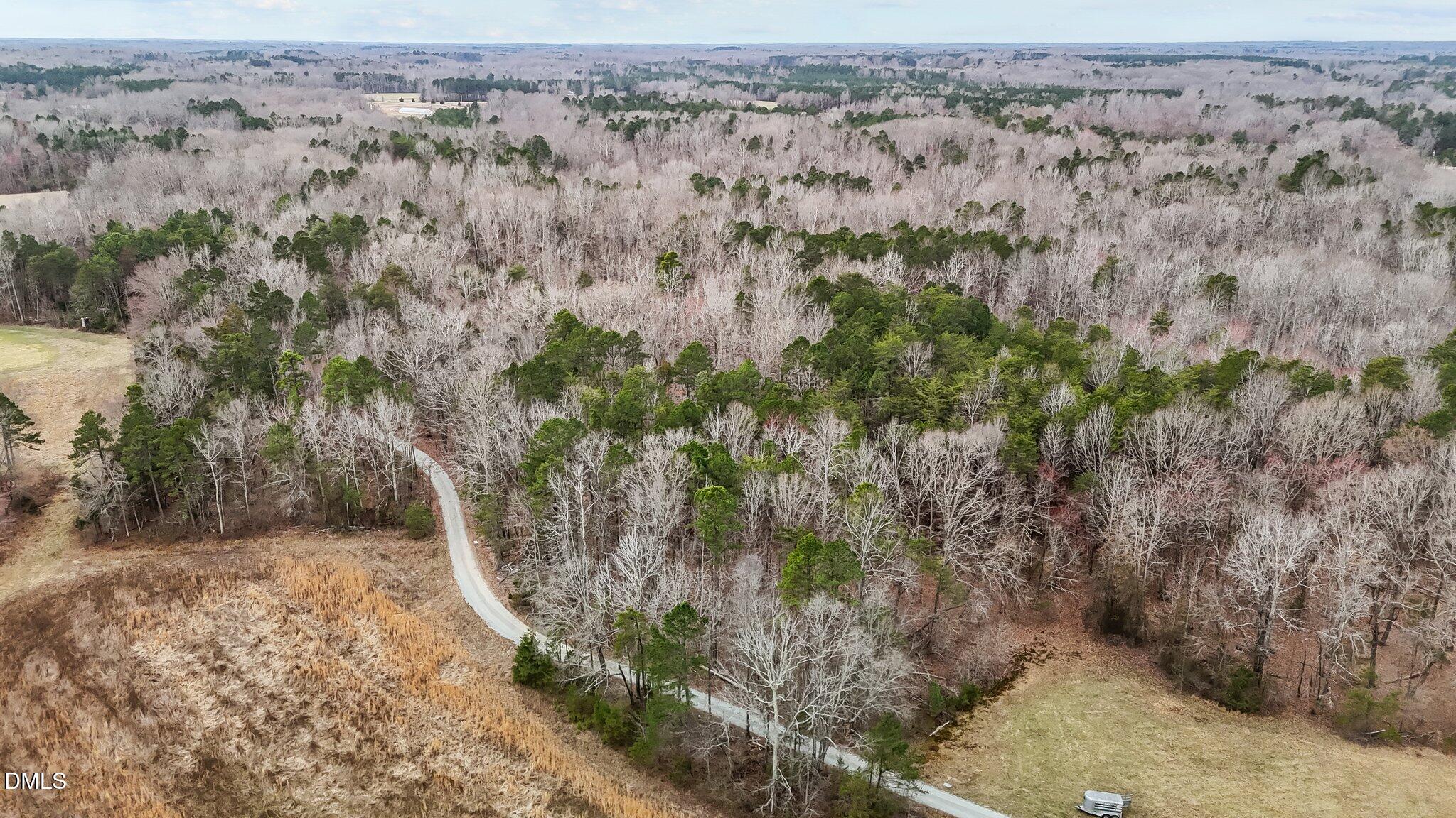 8729 Allison Road Cedar Grove, NC 27231 - Photo 52 of 63 a view of a yard with a tree