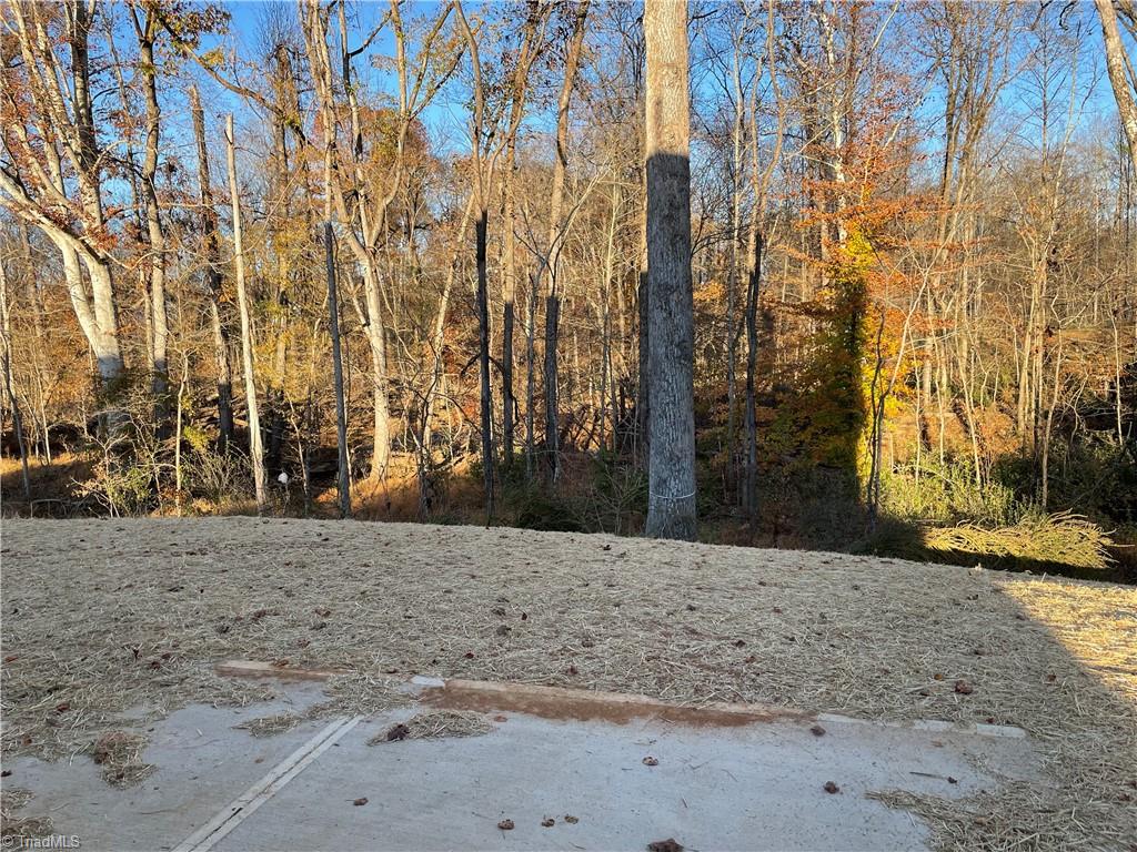 1990 Meadowview Drive Graham, NC 27253 - Photo 5 of 11 view of backyard