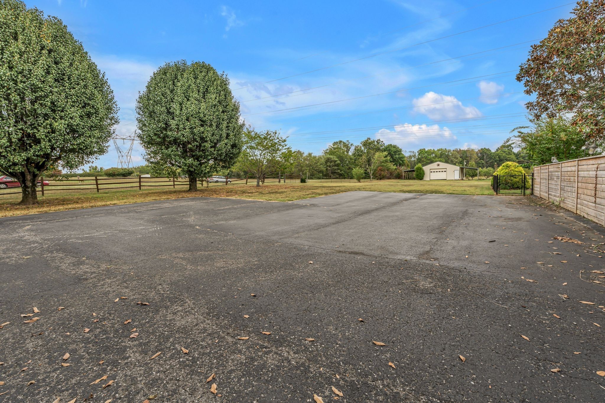 2103 Liebengood Road Goodlettsville, TN 37072 - Photo 82 of 97 a view of a large tree with large trees