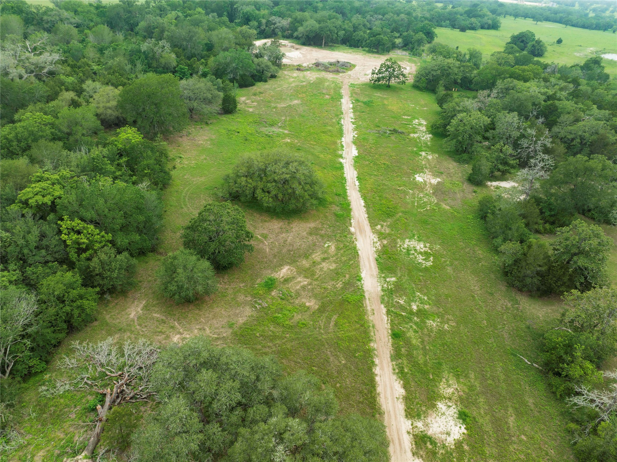 2570 Burke Road Flatonia, TX 78941 - Photo 14 of 14 a view of a garden