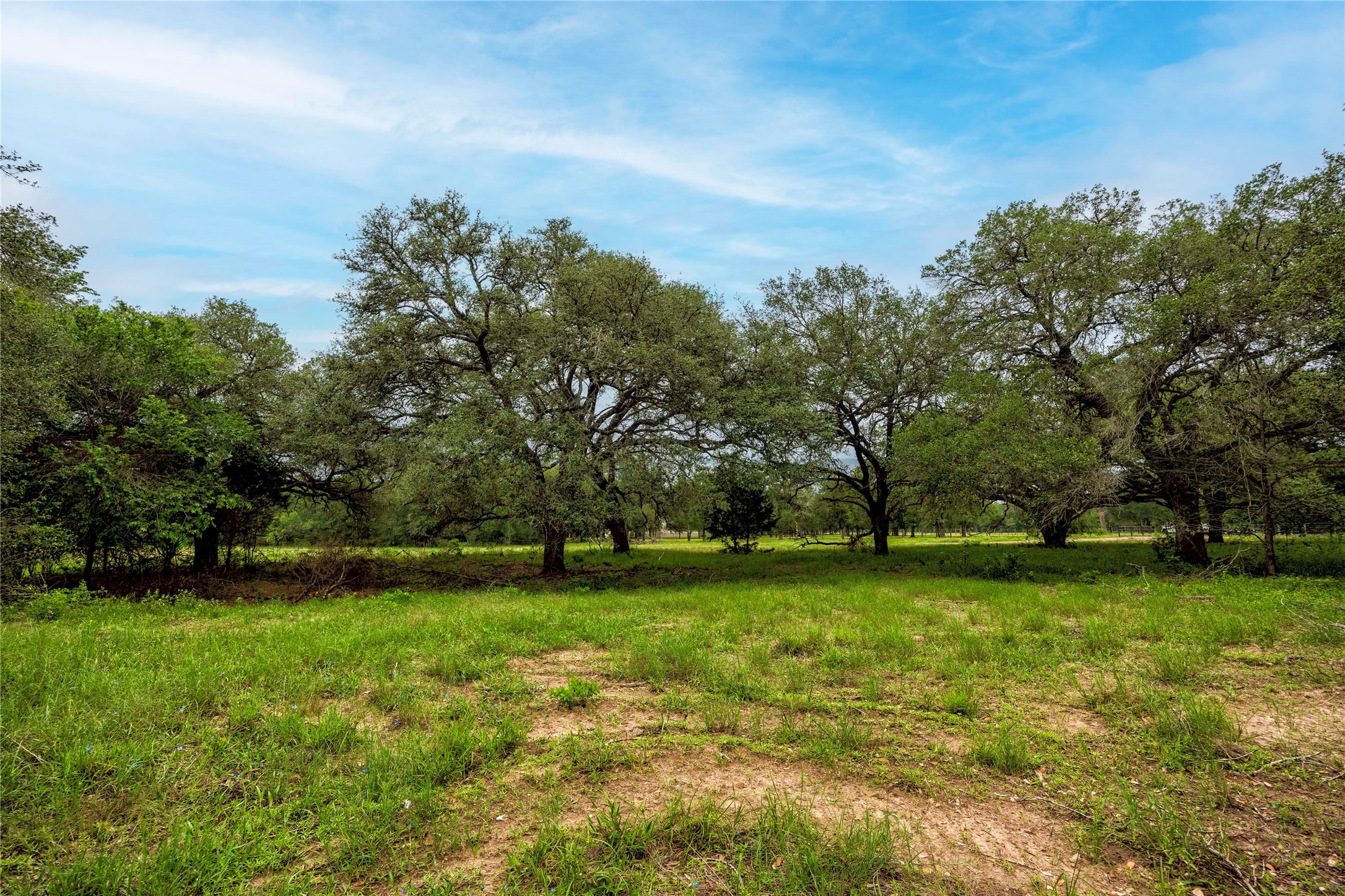 2570 Burke Road Flatonia, TX 78941 - Photo 4 of 14 a view of a field with trees in the background