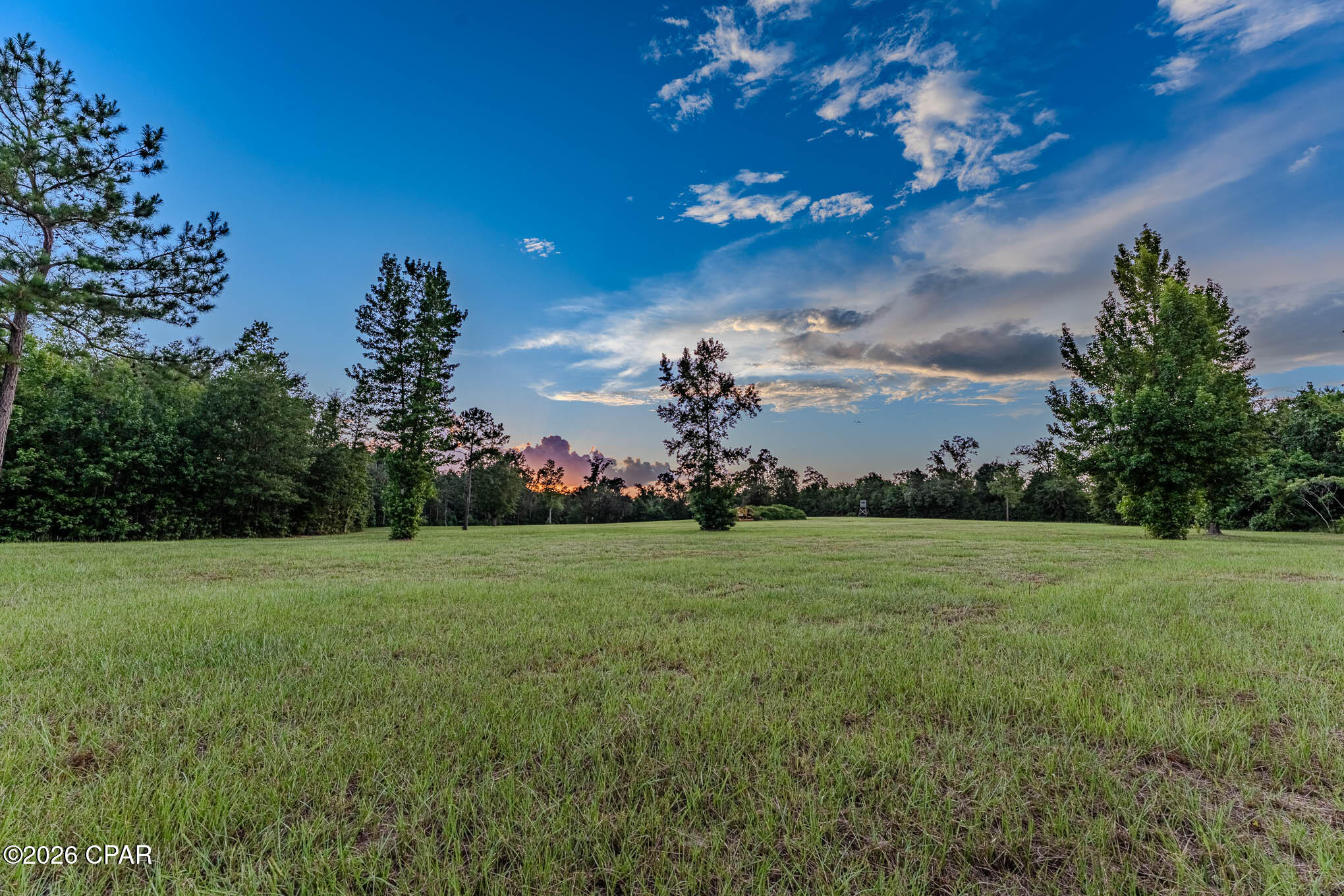 90 Highway 90 Grand Ridge, FL 32442 - Photo 11 of 40