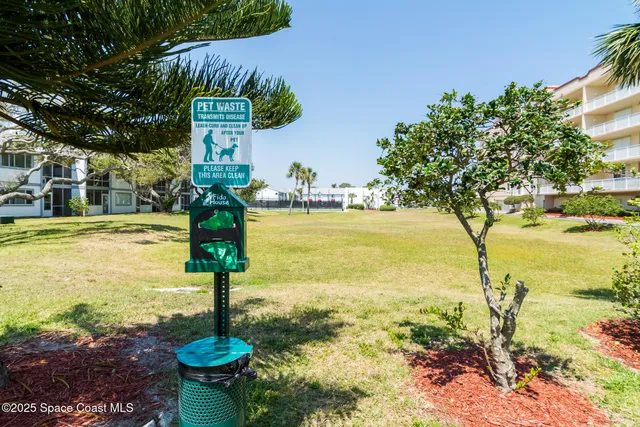a swimming pool with lots of tall trees