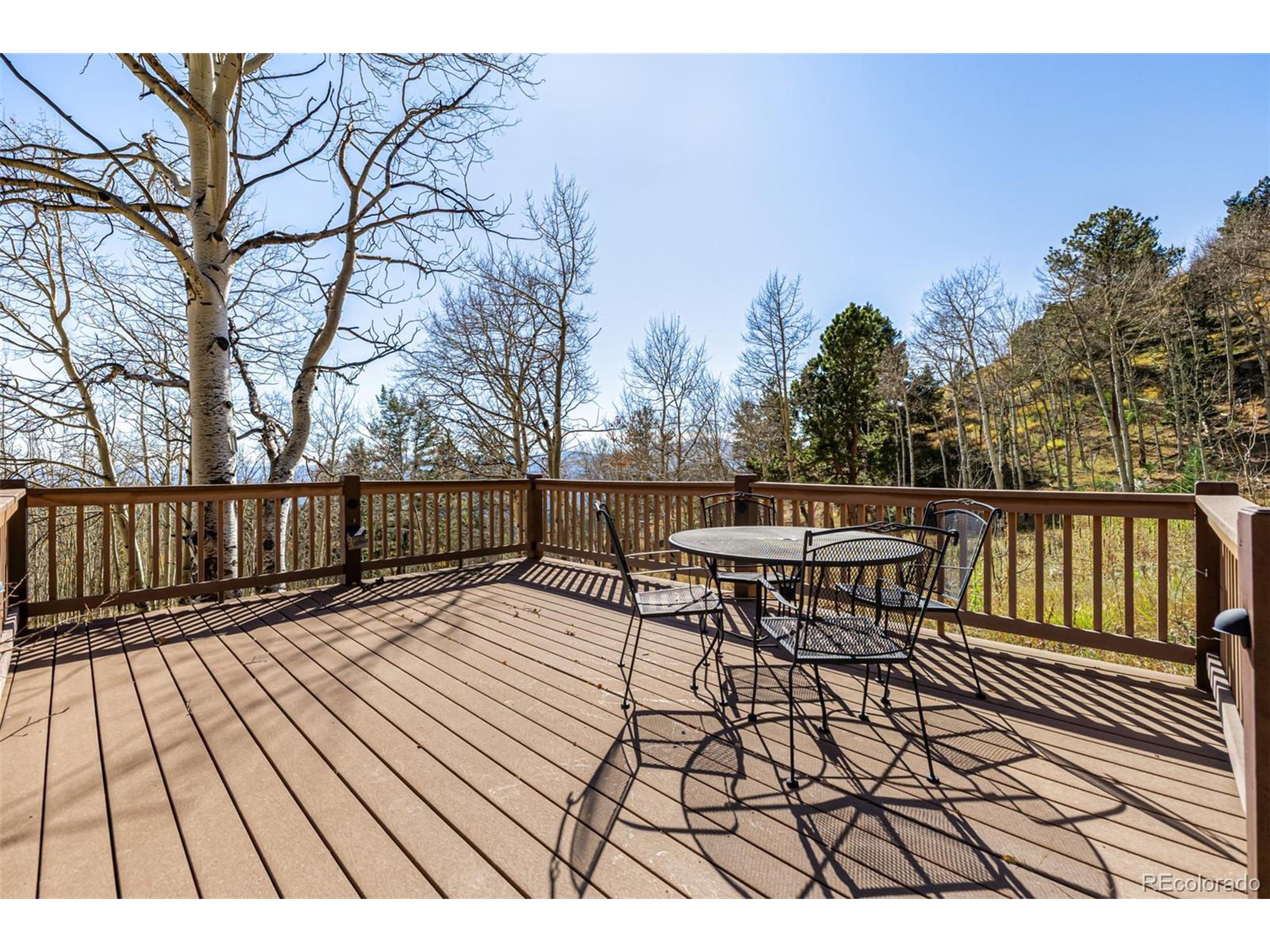 1553 Robinson Hill Road Black Hawk, CO 80422 - Photo 46 of 50