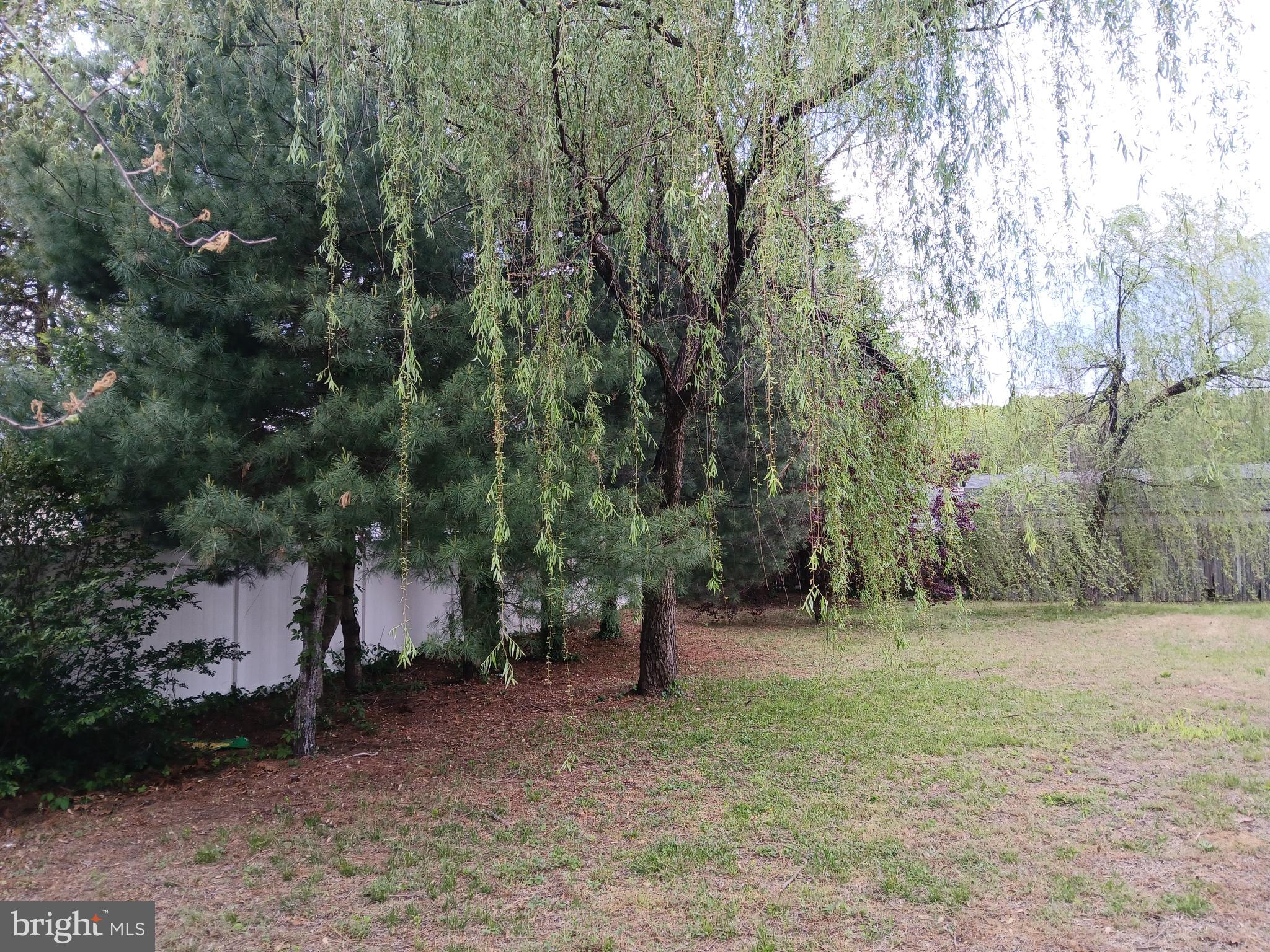 80 Chews Landing Road Clementon, NJ 08021 - Photo 7 of 50 a view of outdoor space with trees