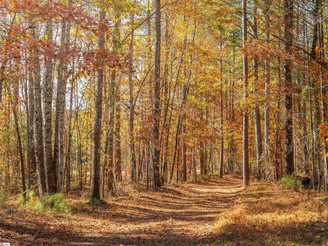 $199,999 | 6 Mill Pine Road, Liberty, SC 29657