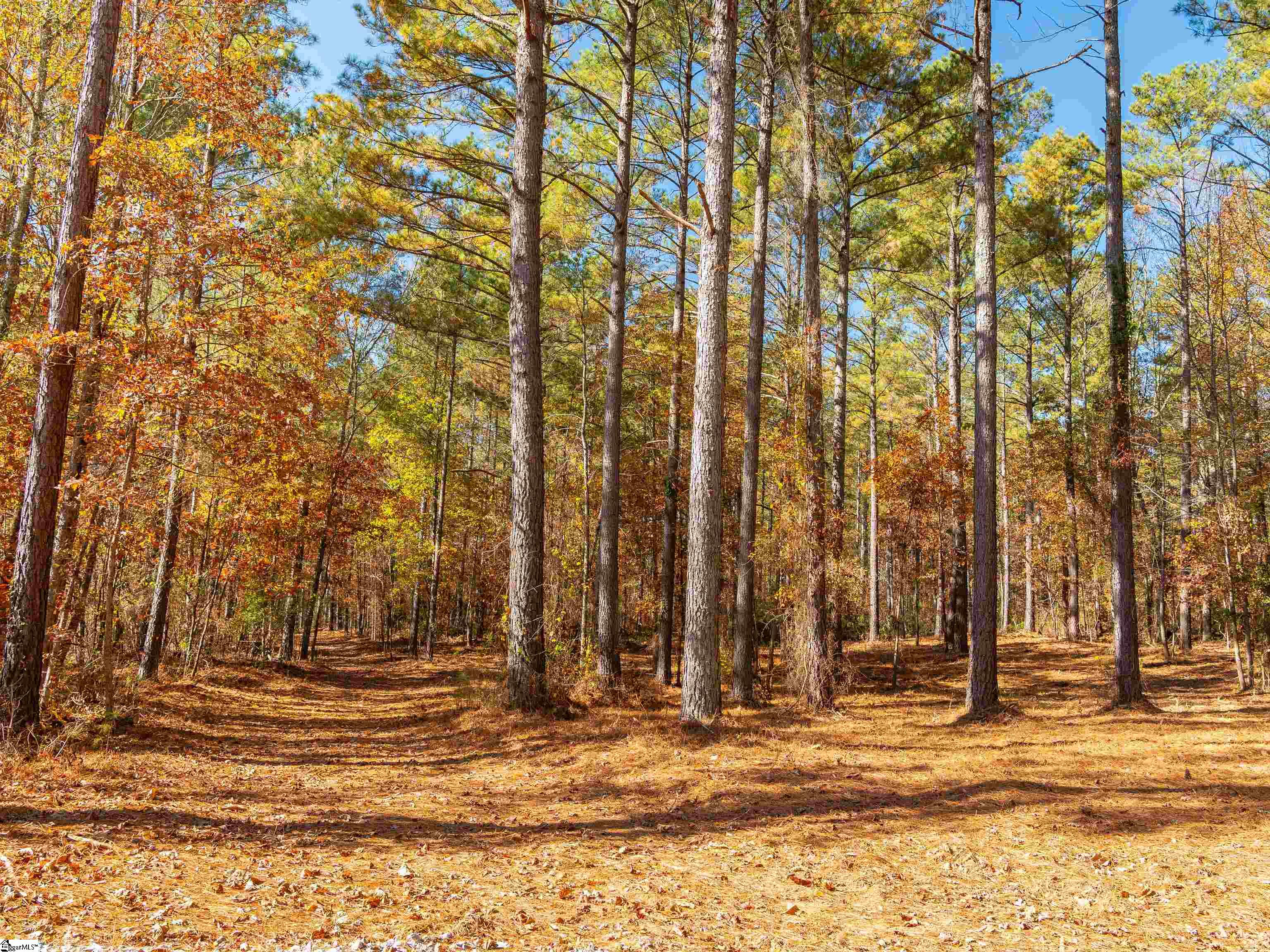 6 Mill Pine Road Liberty, SC 29657 - Photo 18 of 27 Gallery Image 18