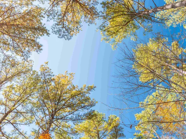 $199,999 | 6 Mill Pine Road, Liberty, SC 29657