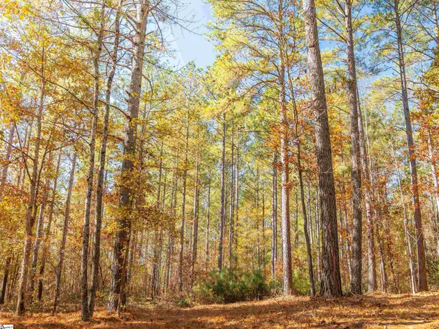 $199,999 | 6 Mill Pine Road, Liberty, SC 29657