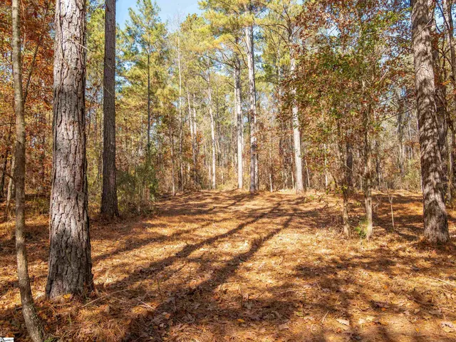 $199,999 | 6 Mill Pine Road, Liberty, SC 29657