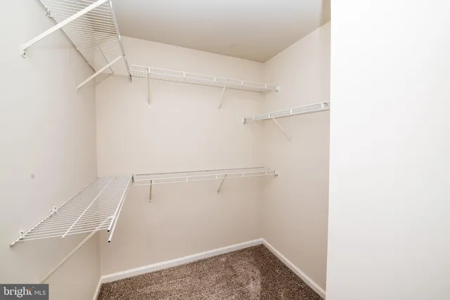 a bathroom with a shower and a toilet