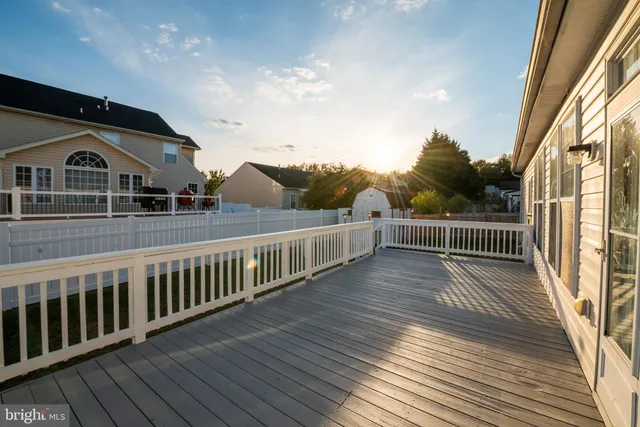 a view of a backyard with plants and large tree