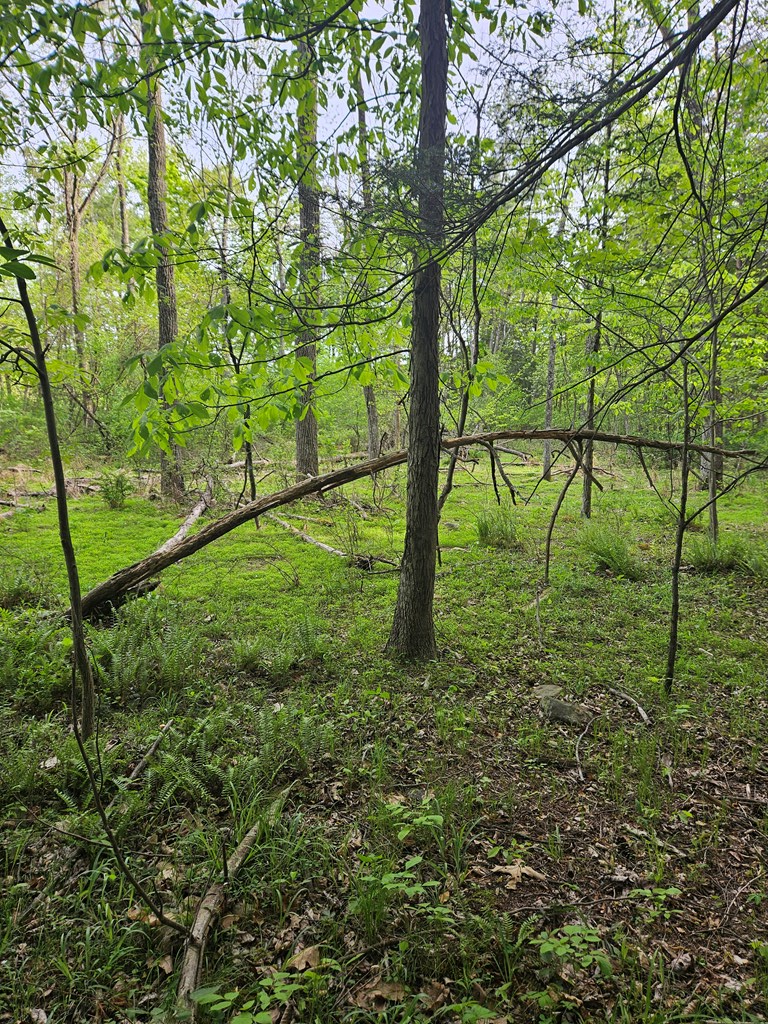 0 Hares Valley Road Mapleton Depot, PA 17052 - Photo 7 of 28 Gallery Image 7