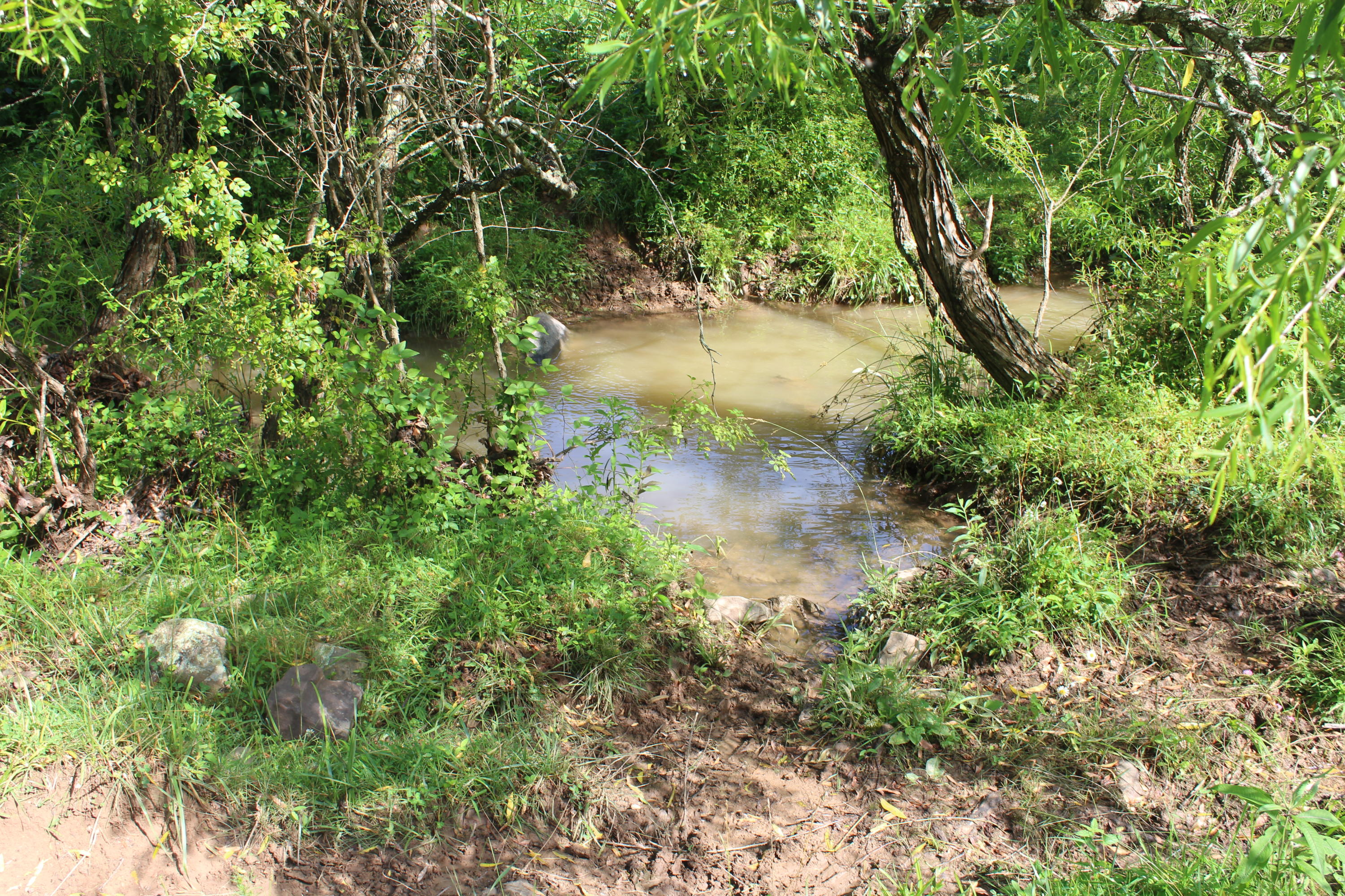 Bradshaw Run Road Forest Hill, WV 24935 - Photo 17 of 22 Gallery Image 17