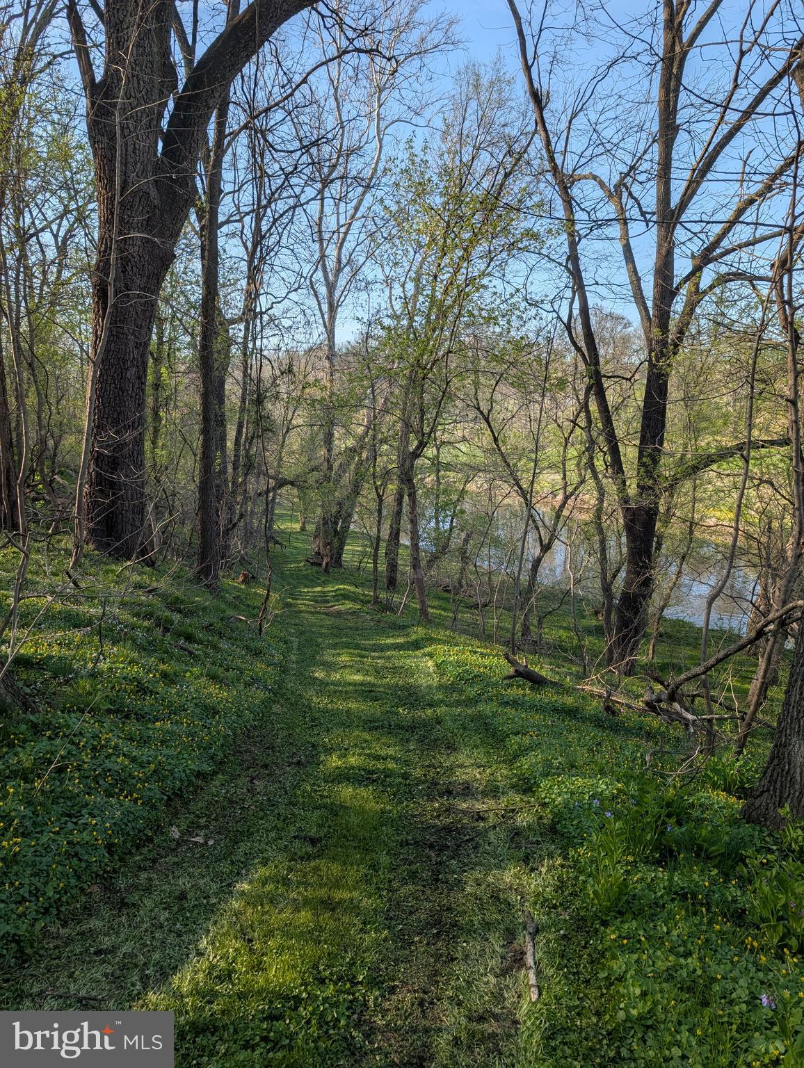 913 Stehman Road Millersville, PA 17551 - Photo 28 of 38 a yard with lots of green space and trees