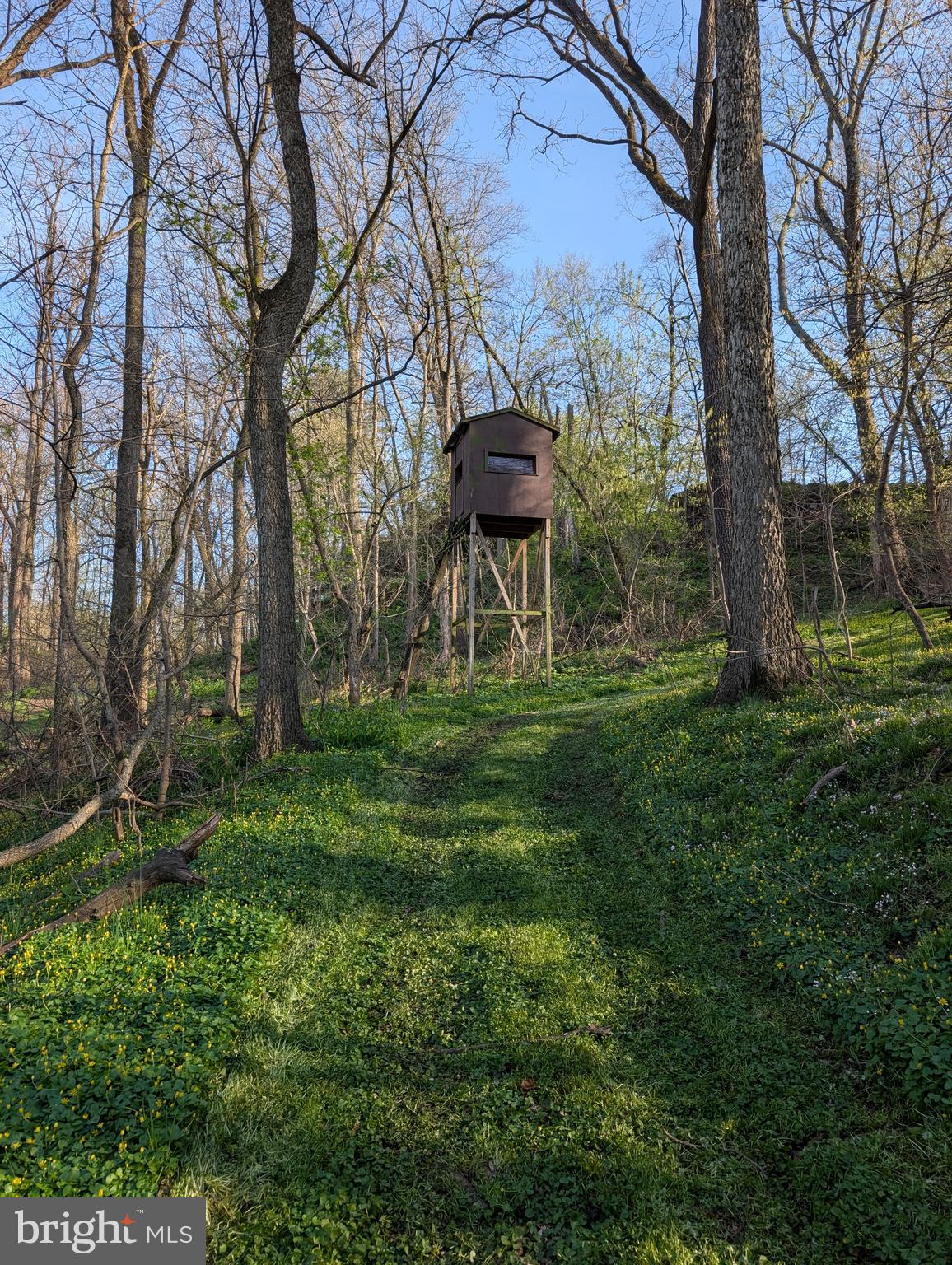 913 Stehman Road Millersville, PA 17551 - Photo 29 of 38 a view of a garden