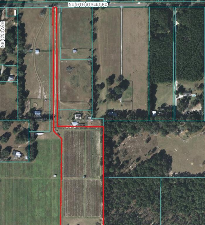 4290 Northeast 97th Street Road Anthony, FL 32617 - Photo 1 of 1 Gallery Image 1
