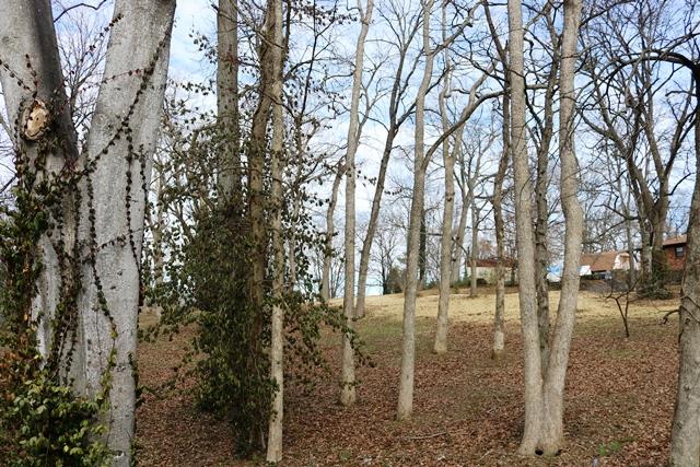 642 East Campbell Road Madison, TN 37115 - Photo 4 of 17 Gallery Image 4