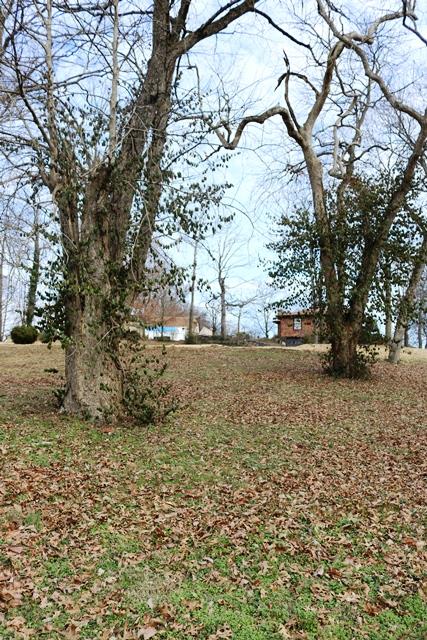 642 East Campbell Road Madison, TN 37115 - Photo 6 of 17 Gallery Image 6