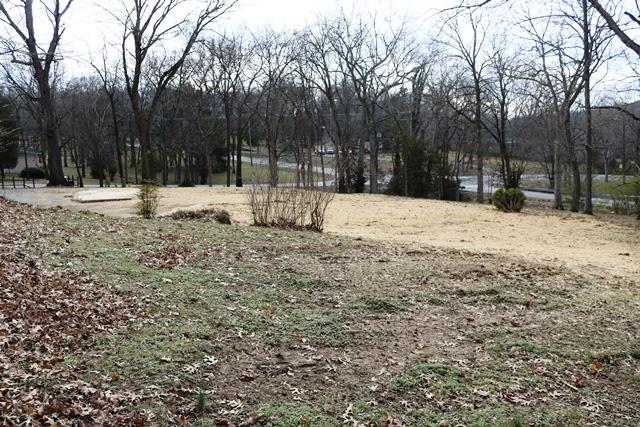 642 East Campbell Road Madison, TN 37115 - Photo 10 of 17 This is the view from behind the building spot looking out toward the corner edge of the lot.