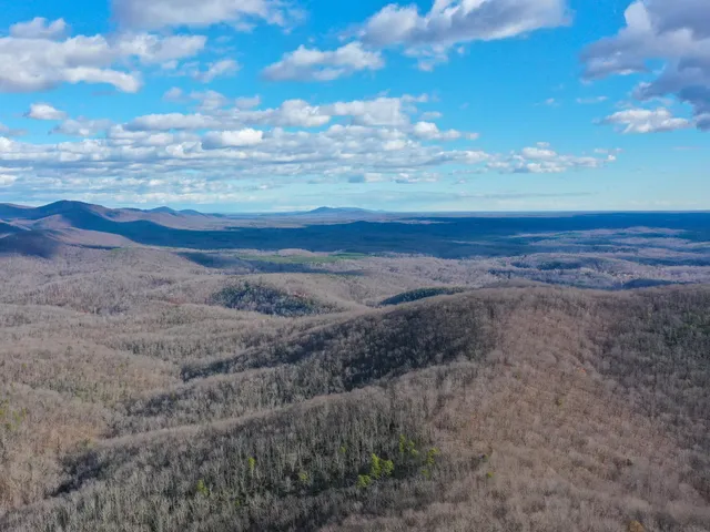 $1,100,000 | Tbd Johnson Hollow, Schuyler, VA 22969