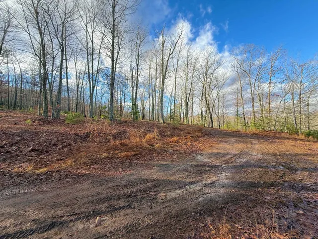 $1,100,000 | Tbd Johnson Hollow, Schuyler, VA 22969