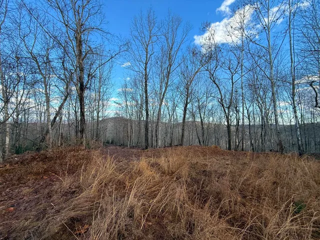 $1,100,000 | Tbd Johnson Hollow, Schuyler, VA 22969