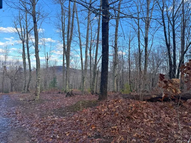 $1,100,000 | Tbd Johnson Hollow, Schuyler, VA 22969