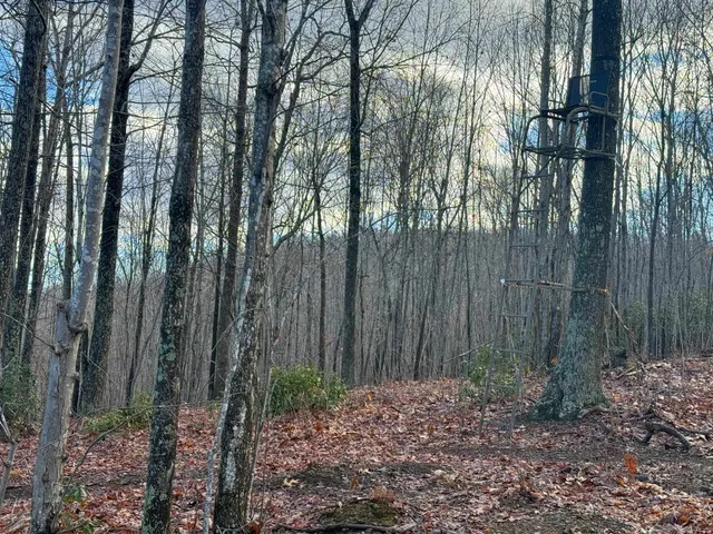 a street sign that is on a pole