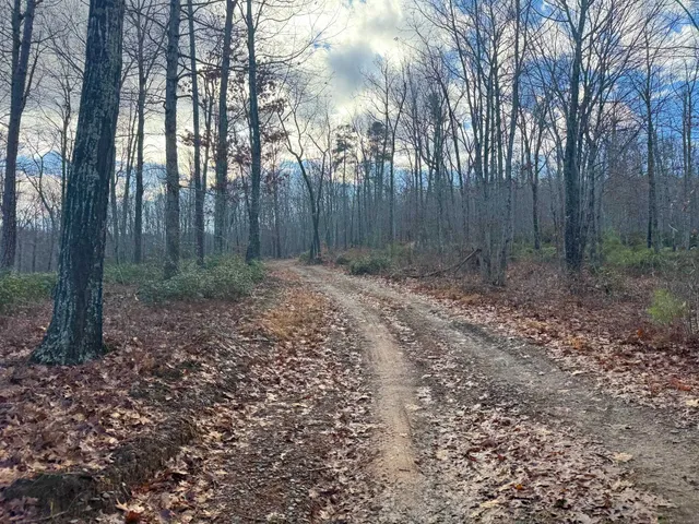$1,100,000 | Tbd Johnson Hollow, Schuyler, VA 22969