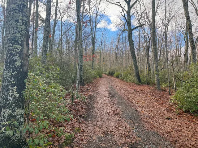 $1,100,000 | Tbd Johnson Hollow, Schuyler, VA 22969