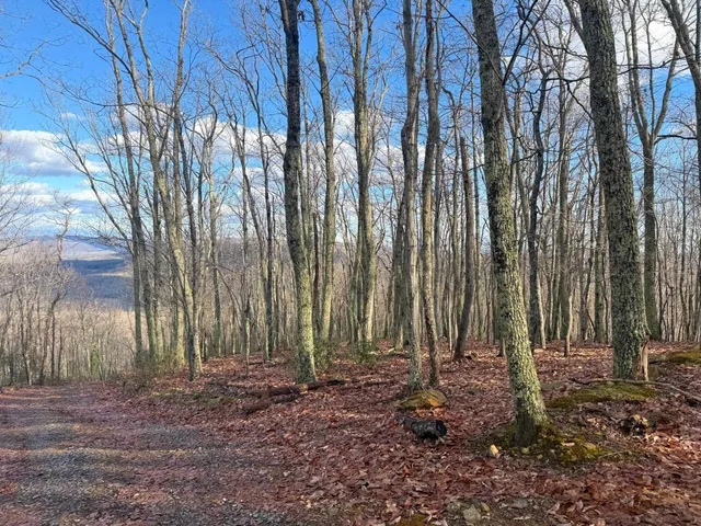 $1,100,000 | Tbd Johnson Hollow, Schuyler, VA 22969