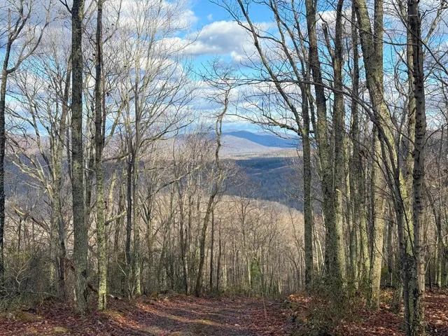 $1,100,000 | Tbd Johnson Hollow, Schuyler, VA 22969