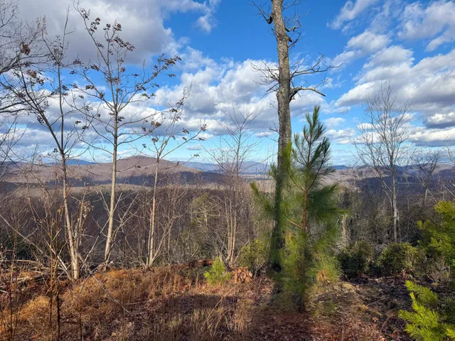 $1,100,000 | Tbd Johnson Hollow, Schuyler, VA 22969