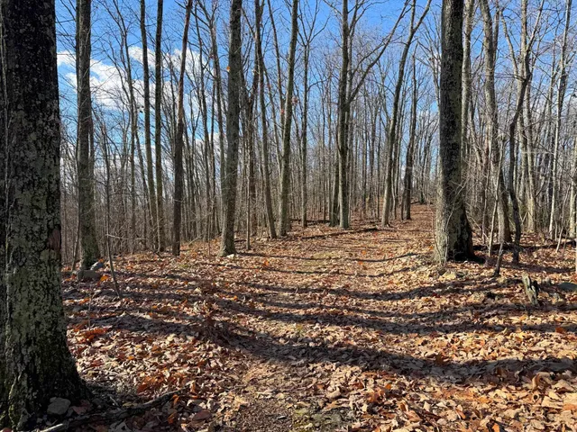 $1,100,000 | Tbd Johnson Hollow, Schuyler, VA 22969