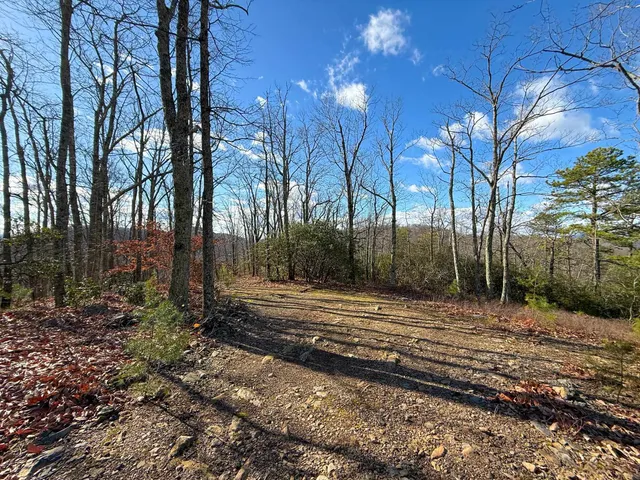 $1,100,000 | Tbd Johnson Hollow, Schuyler, VA 22969
