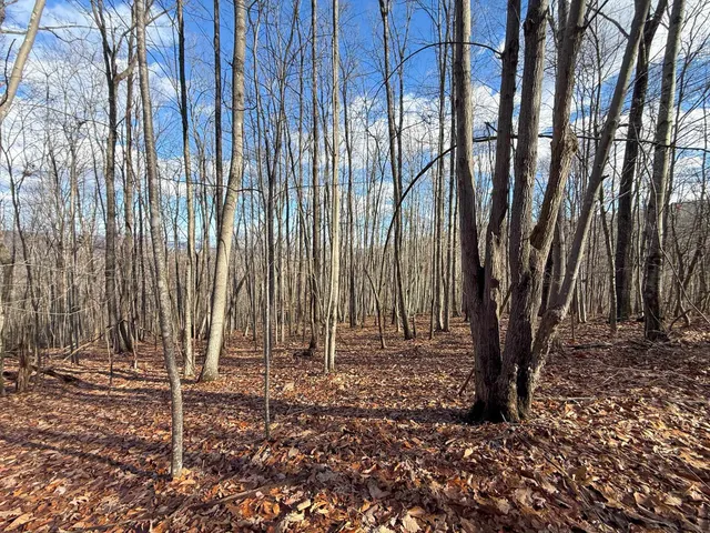 $1,100,000 | Tbd Johnson Hollow, Schuyler, VA 22969