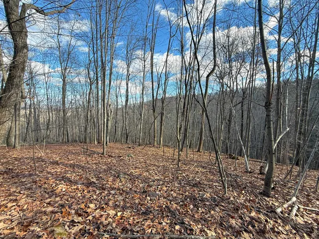 $1,100,000 | Tbd Johnson Hollow, Schuyler, VA 22969